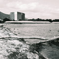 2469-3.jpg