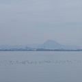 2472-1.jpg