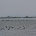 2473-1.jpg