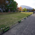 2475-3.jpg