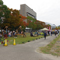 2477-3.jpg