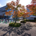 2478-2.jpg