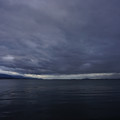 2480-3.jpg