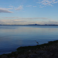 2481-2.jpg