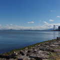 2482-1.jpg