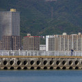 2483-2.jpg