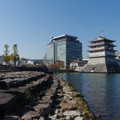 2486-1.jpg