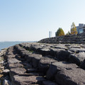 2486-2.jpg