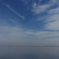 2489-1.jpg