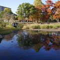 2490-2.jpg