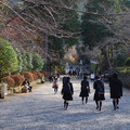 2491-1.jpg