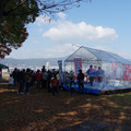 2491-2.jpg