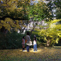 2491-3.jpg