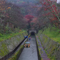 2493-1.jpg