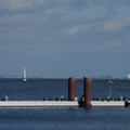 2494-1.jpg