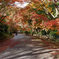 2495-1.jpg