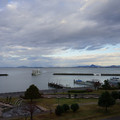2495-2.jpg