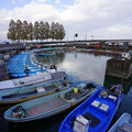 2496-2.jpg