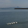 2497-2.jpg