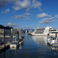 2499-1.jpg
