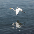 2501-3.jpg