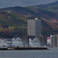 2505-1.jpg
