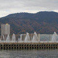 2506-2.jpg