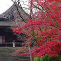 2507-1.jpg