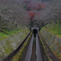 2507-2.jpg