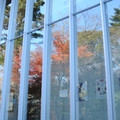 2510-2.jpg
