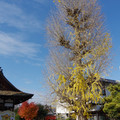 2512-3.jpg