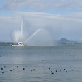 2520-2.jpg