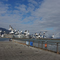 2521-1.jpg