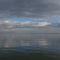 2523-1.jpg