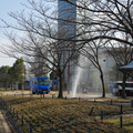 2525-2.jpg