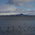 2527-2.jpg