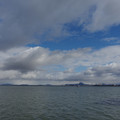 2529-2.jpg