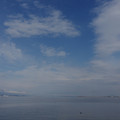 2530-1.jpg