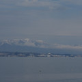 2530-2.jpg