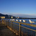 2531-2.jpg