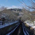 2533-1.jpg