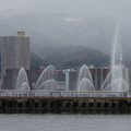 2533-2.jpg