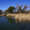 2534-2.jpg