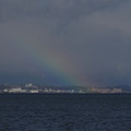 2536-1.jpg