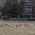2537-2.jpg
