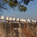 2538-2.jpg