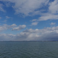 2539-2.jpg