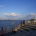2545-1.jpg