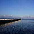 2545-2.jpg