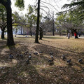 2548-2.jpg